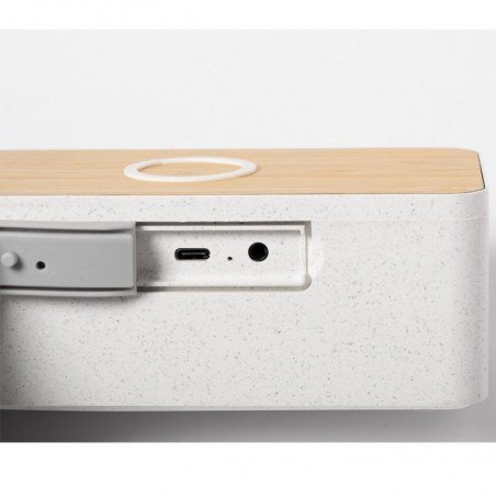 Gravidanza con caricabatterie wireless Gravidanza con caricabatterie wireless