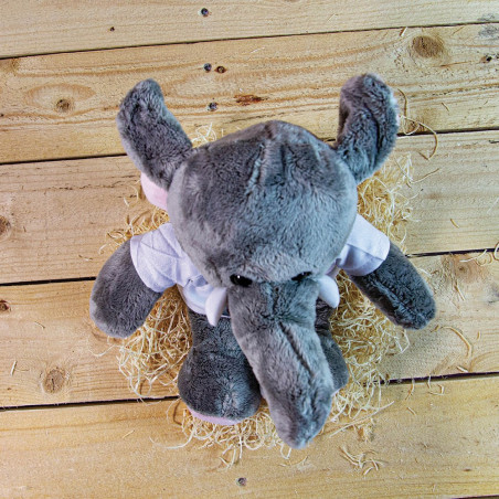 Decorazione dello zoom dell'elefante tocco Decorazione dello zoom dell'elefante tocco