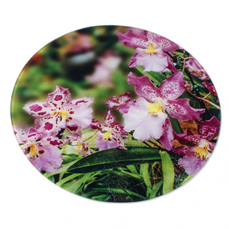 Taglio rotondo personalizzato Taglio rotondo personalizzato