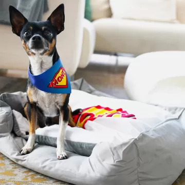 Foto su misura della copertura animale