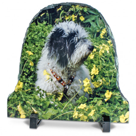 Telaio in ardesia a volta Telaio in ardesia a volta