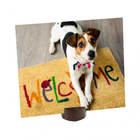 Foto telaio in mogano Foto telaio in mogano