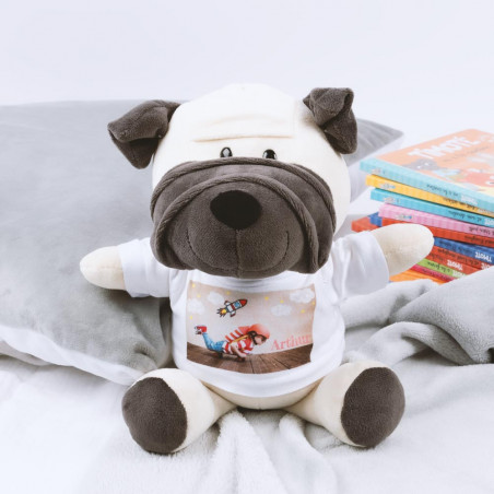 Cane capezzolo con foto Cane capezzolo con foto