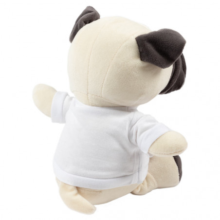 Cane Teddy indietro Cane Teddy indietro