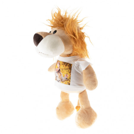 Foto di puppet del leone personalizzato Foto di puppet del leone personalizzato