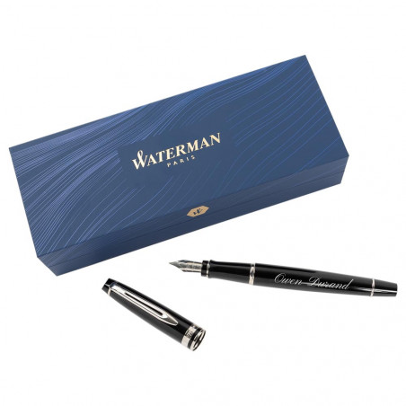 Waterman penna esperto piuma nero inciso Waterman penna esperto piuma nero inciso