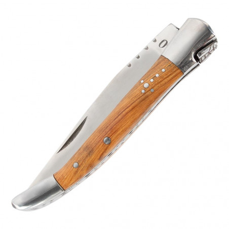 Coltello design piegato natura Coltello design piegato natura