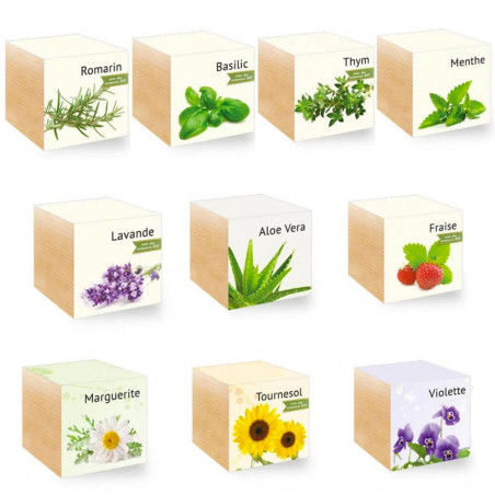 Piante diverse disponibili sul cubo di legno Piante diverse disponibili sul cubo di legno