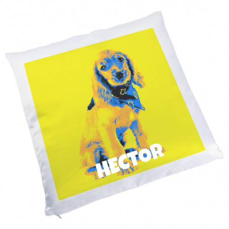 Cuscino Pop Art personalizzato Cuscino Pop Art personalizzato