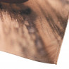 Foto del cuore polare plaid