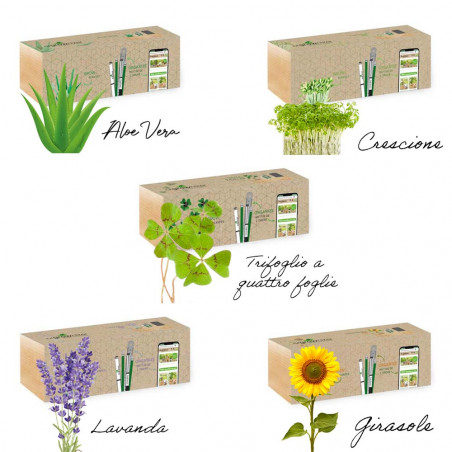 Impianti disponibili presso la stazione degli uffici Impianti disponibili presso la stazione degli uffici