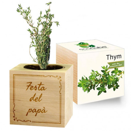 Ecocube Thym personalizzato arabo Ecocube Thym personalizzato arabo