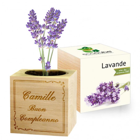 Lavanda arabesque personalizzata Ecocube Lavanda arabesque personalizzata Ecocube