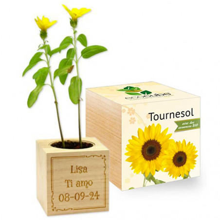 Personalizzato legno di girasole cubo arabesque Personalizzato legno di girasole cubo arabesque