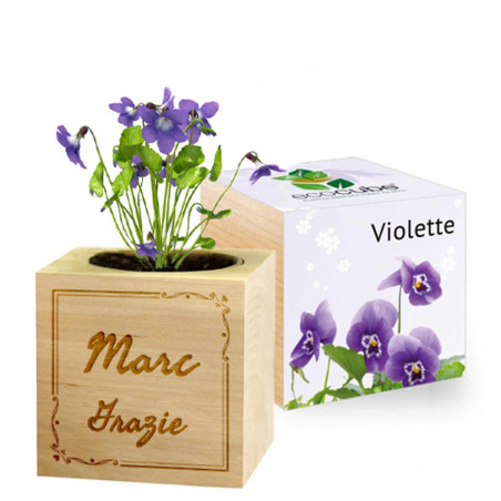 Arabesque Custom Purple Ecocube Arabesque Custom Purple Ecocube