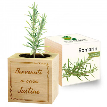 Cubo di legno con pianta personalizzata con incisione arabesco |Oggetto decorativo