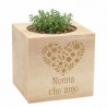 ecocube timo