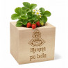 Ecocube personalizzato a forma di fragola
