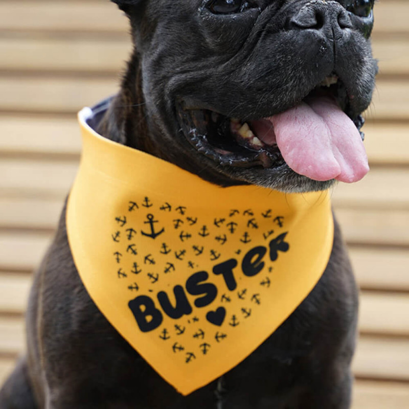 Bandana per cane personalizzata con foto