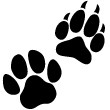 Regalo animale