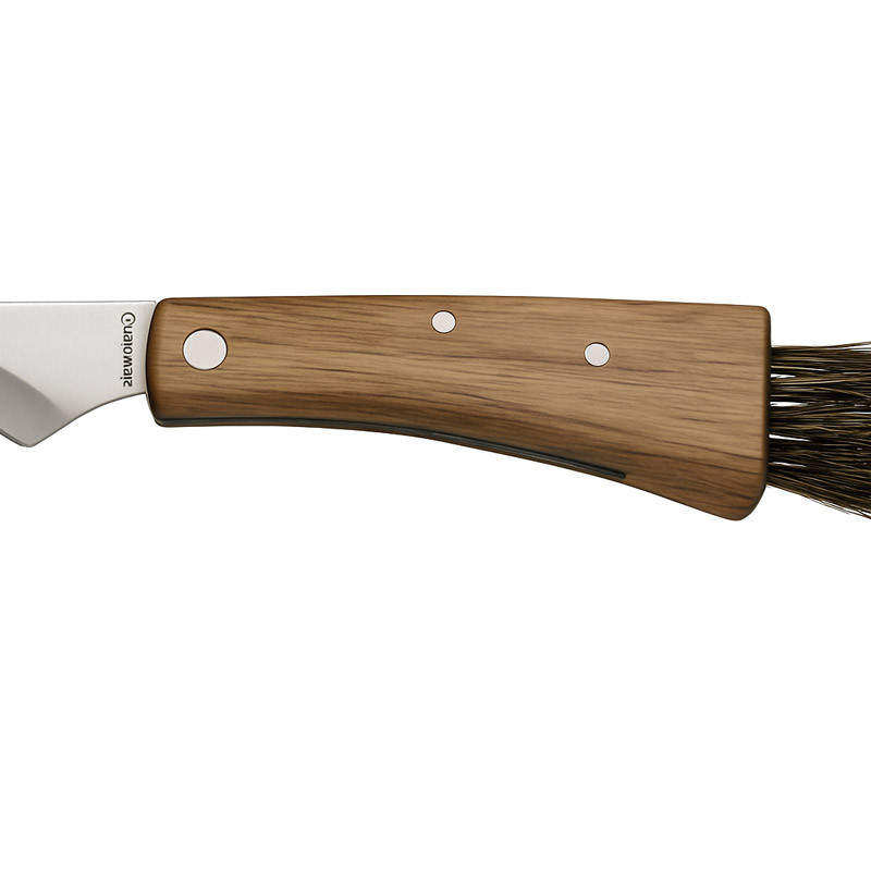 Coltello per funghi inciso